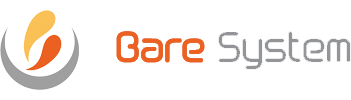 Bare System